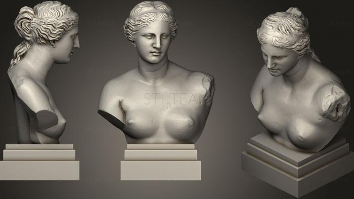 3D модель Афродита бюст (STL)